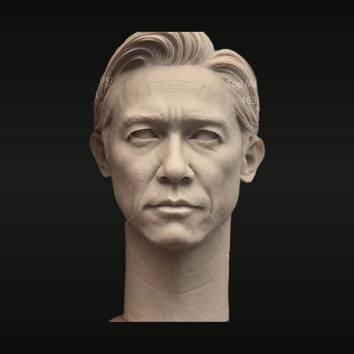 Tony Leung Chiu Wai Head Sculpt 1/6 Scale Resin Bust Kit