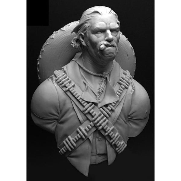 Napoleonic Officer, Resin Model Bust Kit, Unassembled and Unpainted