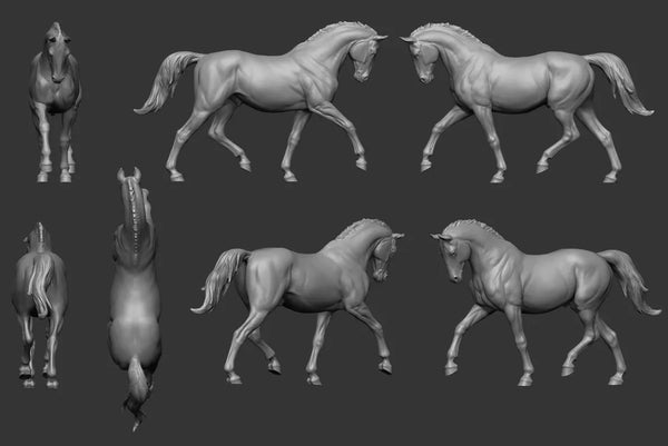 1/32 Anatomical Horses, 5 Figures, Resin Model Creature Kit, Wildlife Theme, Unassembled and Unpainted
