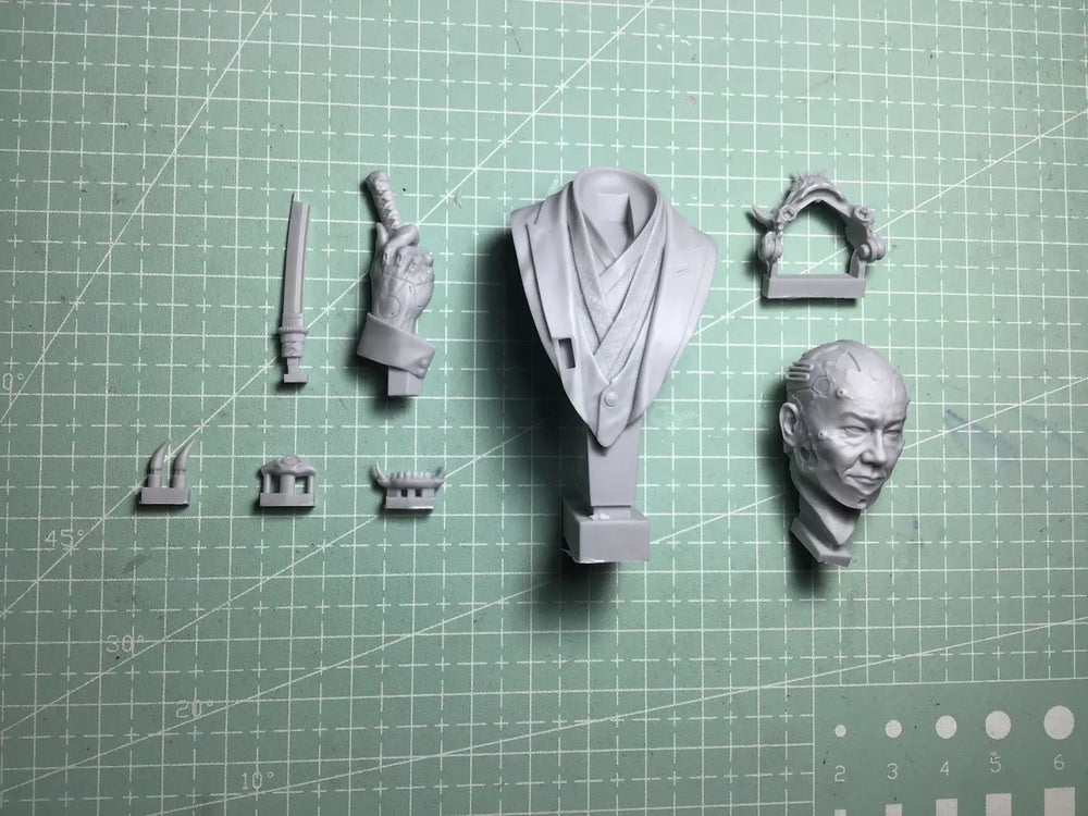 1/10 Aged Warrior Sage, Resin Model Bust Kit, Fantasy Theme, Unassembled and Unpainted