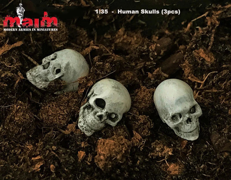 1/35 Skull Set for, 3 Figures, Resin Model Figure Kit, Fantasy Theme, Unassembled and Unpainted