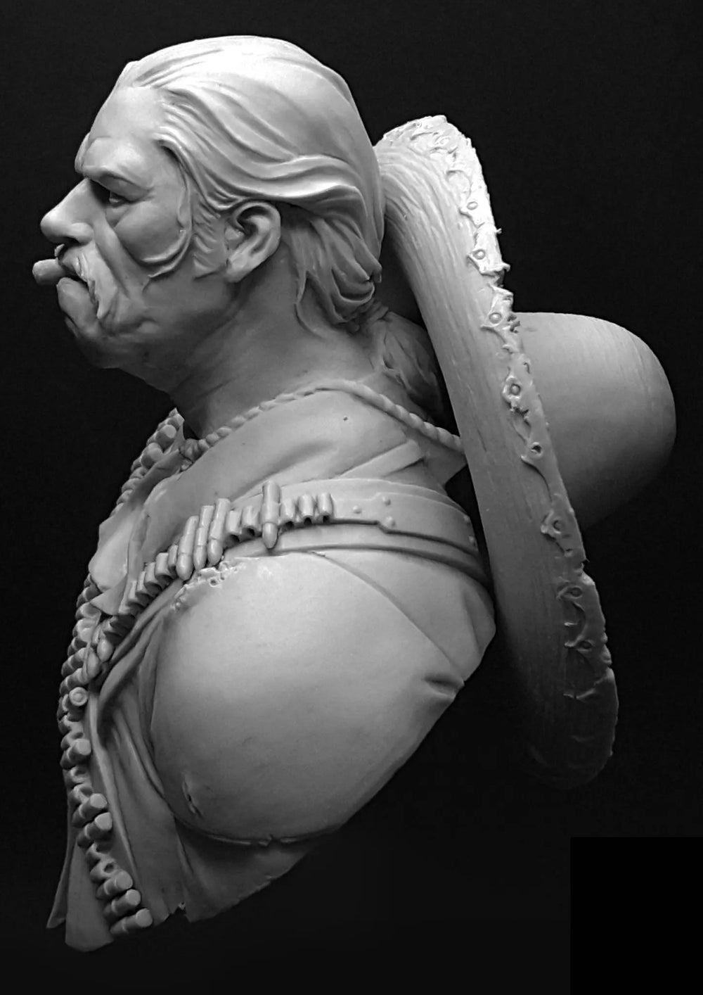 Napoleonic Officer, Resin Model Bust Kit, Unassembled and Unpainted