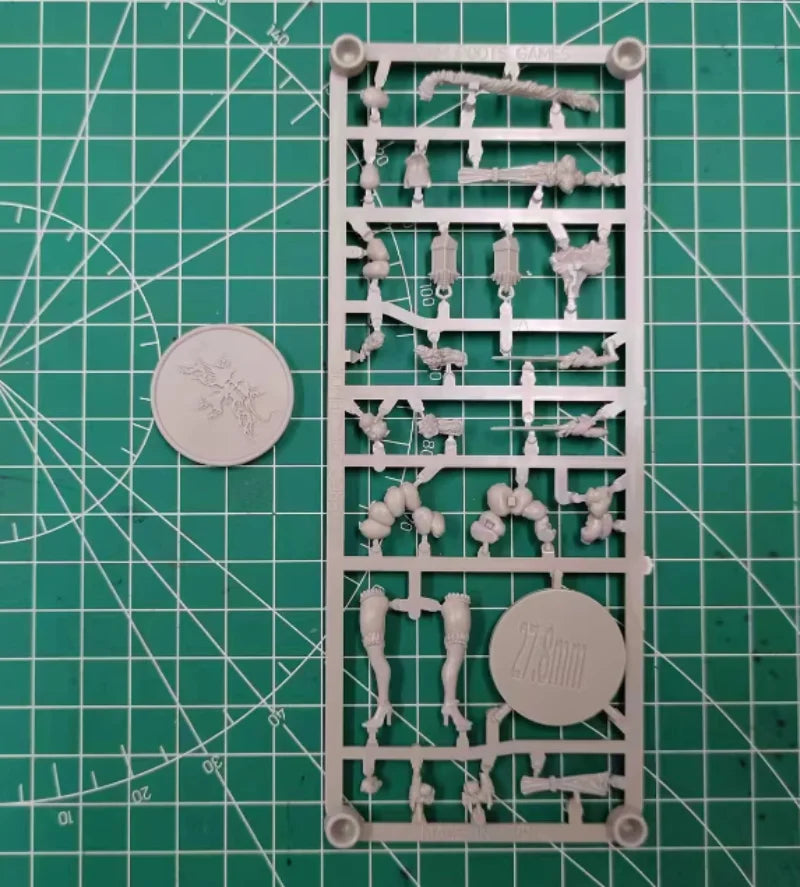 30mm Female Warrior Swordsman, Resin Model Figure Kit, Fantasy Theme, Unassembled and Unpainted