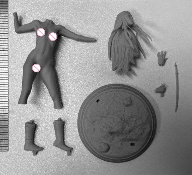 1/24 Long-Haired Elf Warrior with Sword, Resin Model Figure Kit, Fantasy Theme, Unassembled and Unpainted