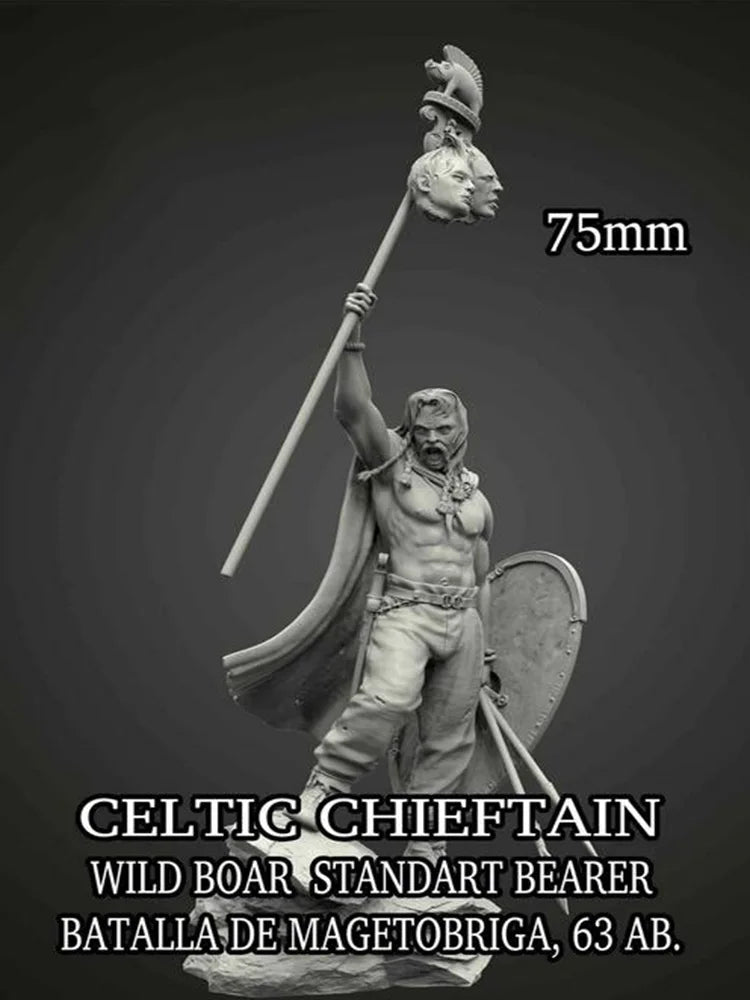 75mm Ancient Celtic Chieftain, Resin Model Figure Kit, Unassembled and Unpainted