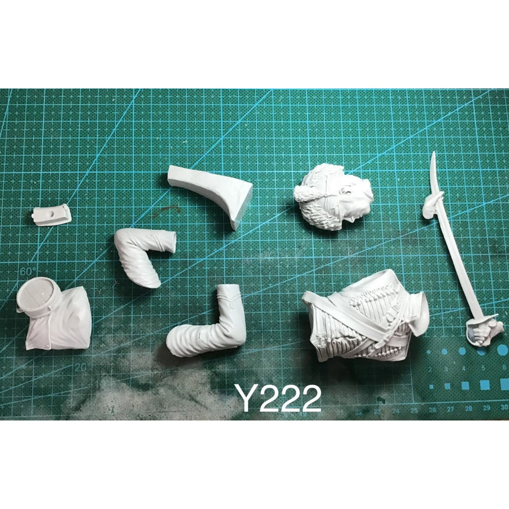 1/9 Napoleonic Austro-Hungarian Cavalry Officer, Resin Model Bust Kit, Unassembled and Unpainted
