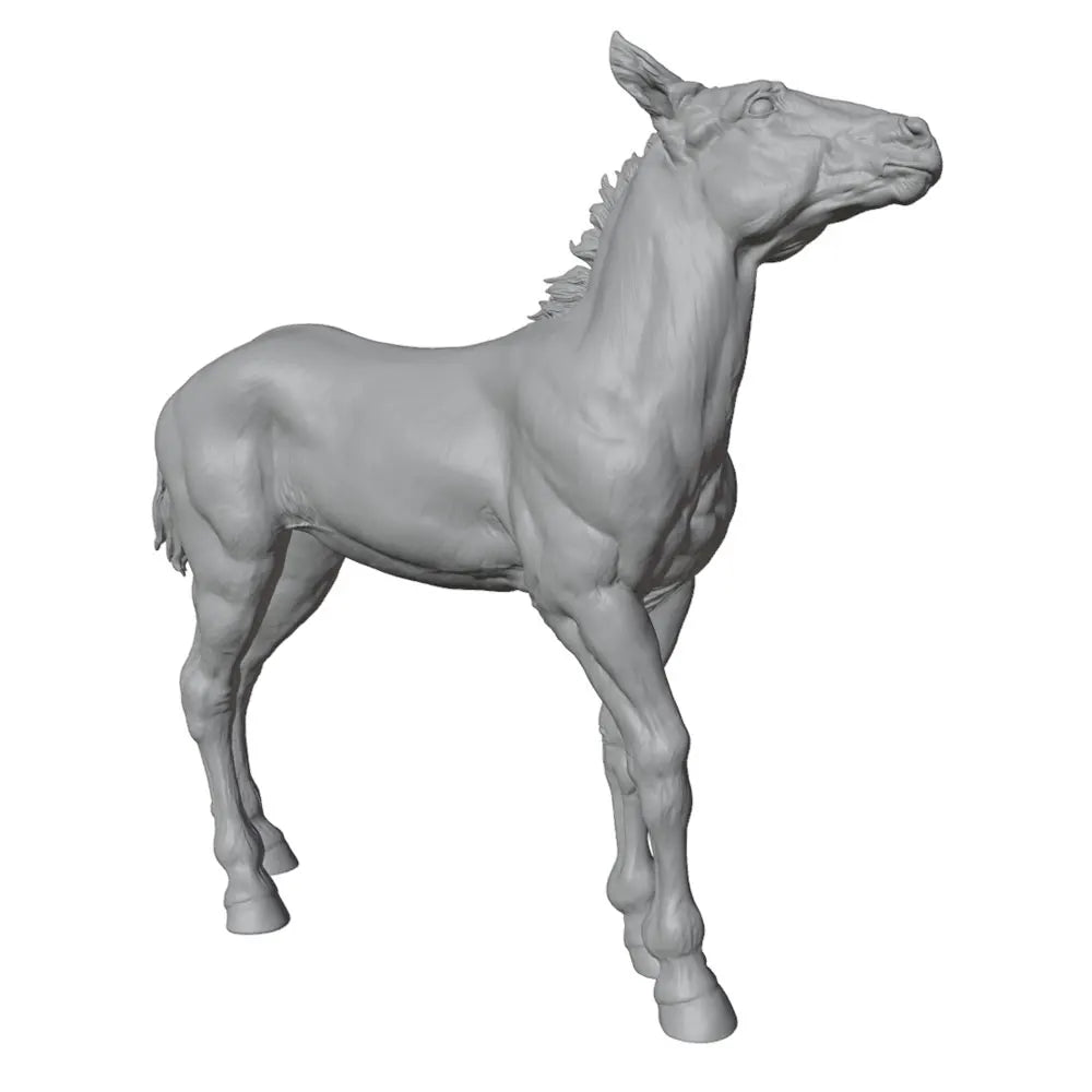 50mm Horse, Resin Model Creature Kit, Wildlife Theme, Unassembled and Unpainted