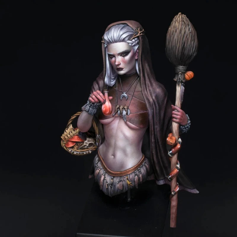 1/10 Medieval Sorceress Wiedzma, Resin Model Bust Kit, Unassembled and Unpainted