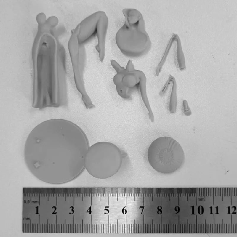 1/24 Bunny Girl Reclining with Whip, Resin Model Figure Kit, Anime Theme, Unassembled and Unpainted