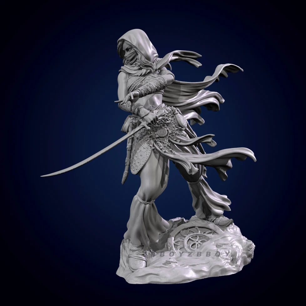 75mm Ornate Swordswoman in Armor with Flowing Cape, Resin Model Figure Kit, Fantasy Theme, Unassembled and Unpainted