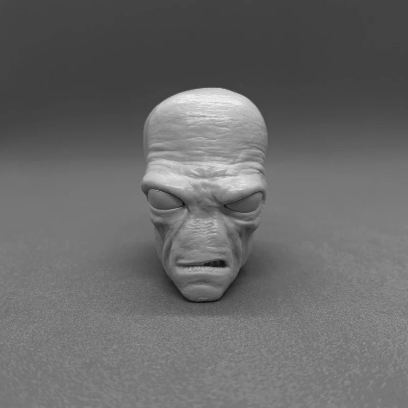 1/6 Interchangeable Sci-Fi Heads, Resin Model Bust Kit, Sci-Fi Theme, Unassembled and Unpainted