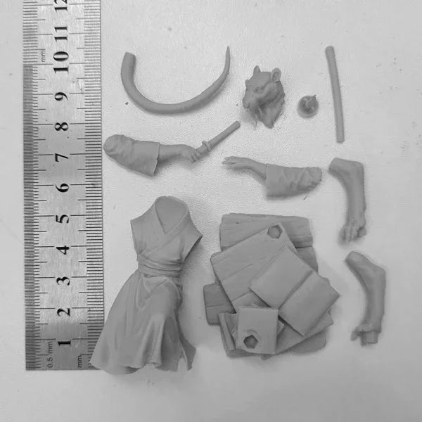 1/24 Modern TMNT Master Splinter, Resin Model Figure Kit, Unassembled and Unpainted