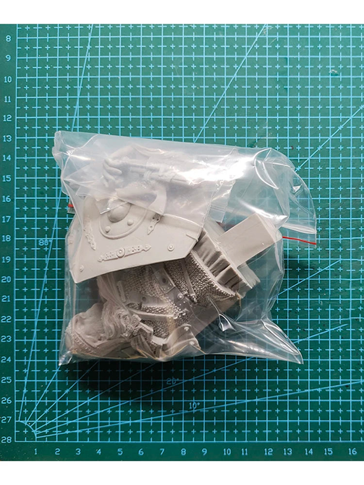 1/10 Medieval Frankish Knight with Gold Helm and Green Cloak, Resin Model Bust Kit, Unassembled and Unpainted