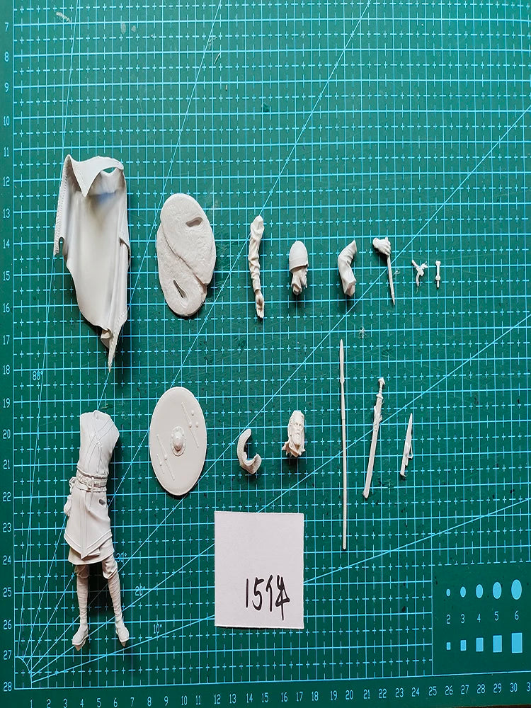 1/24 Ancient Anglo-Saxon Warrior with Spear and Red Cloak, Resin Model Figure Kit, Unassembled and Unpainted