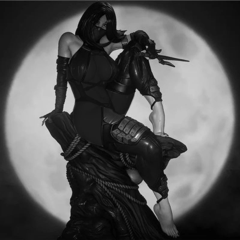1/24 Dark Fantasy Kunoichi, Resin Model Figure Kit, Fantasy Theme, Unassembled and Unpainted