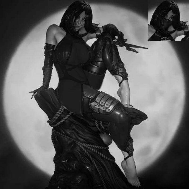 1/24 Dark Fantasy Kunoichi, Resin Model Figure Kit, Fantasy Theme, Unassembled and Unpainted