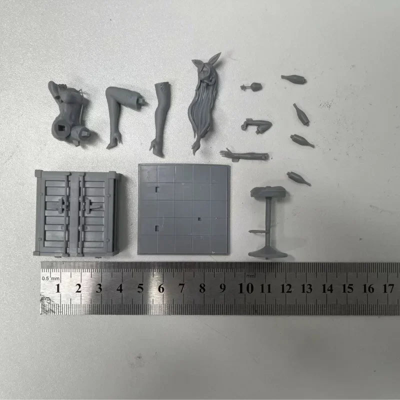 1/24 Bunny Girl Pin-up, Resin Model Figure Kit, Unassembled and Unpainted