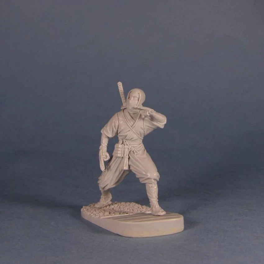 1/32 Martial Artist Swordsman, Resin Model Figure Kit, Anime Theme, Unassembled and Unpainted