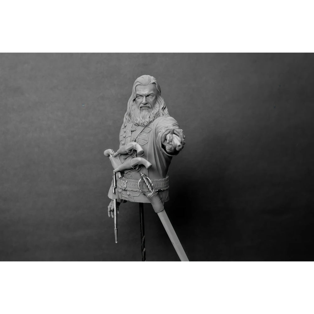 1/10 Medieval Fantasy Wizard Warrior, Resin Model Bust Kit, Fantasy Theme, Unassembled and Unpainted