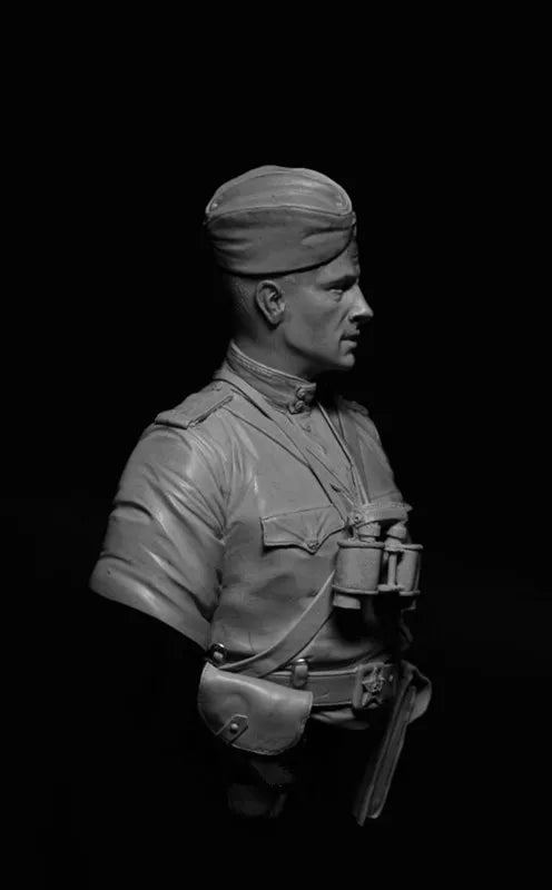 1/10 WWI Military Officer, Resin Model Bust Kit, Unassembled and Unpainted
