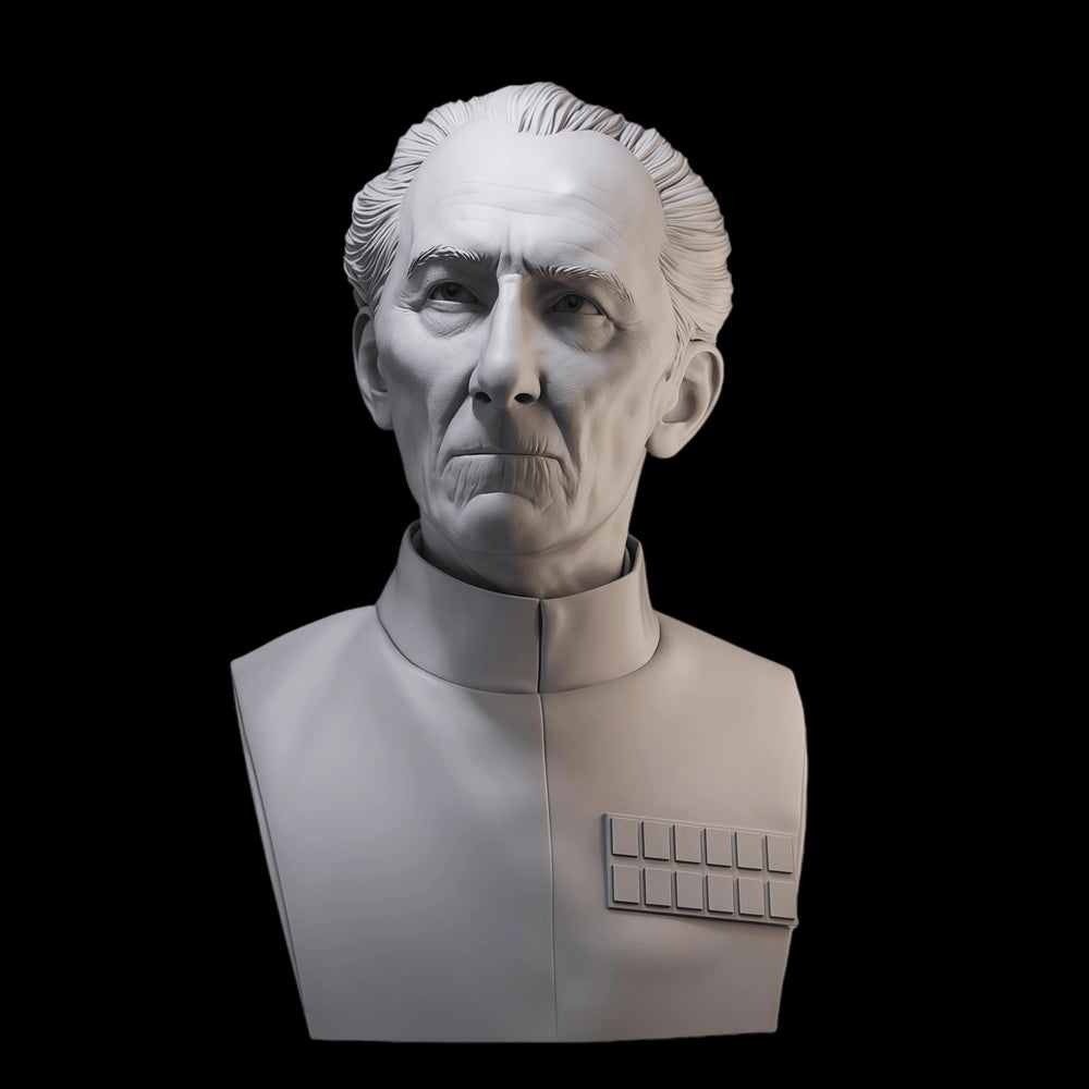 45mm WWII Military Officer, Resin Model Bust Kit, Unassembled and Unpainted
