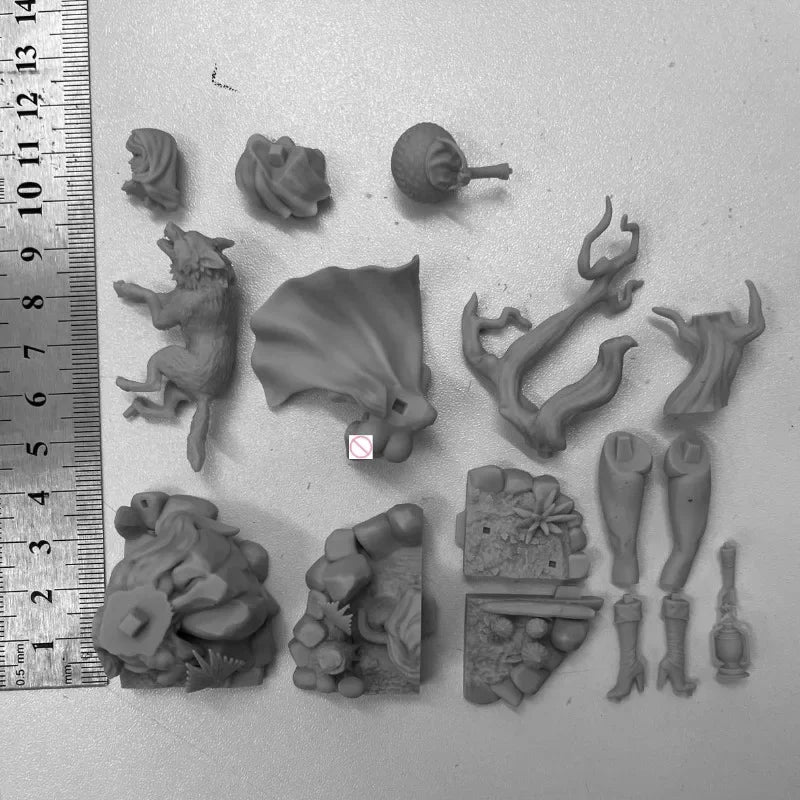 75mm Female Sorceress with Wolf, Resin Model Figure Kit, Fantasy Theme, Unassembled and Unpainted