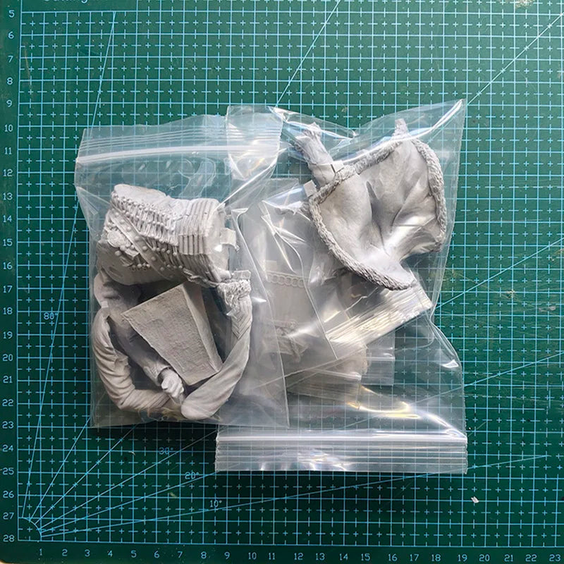 1/10 Napoleonic French Hussar Officer with Raised Sword, Resin Model Bust Kit, Unassembled and Unpainted