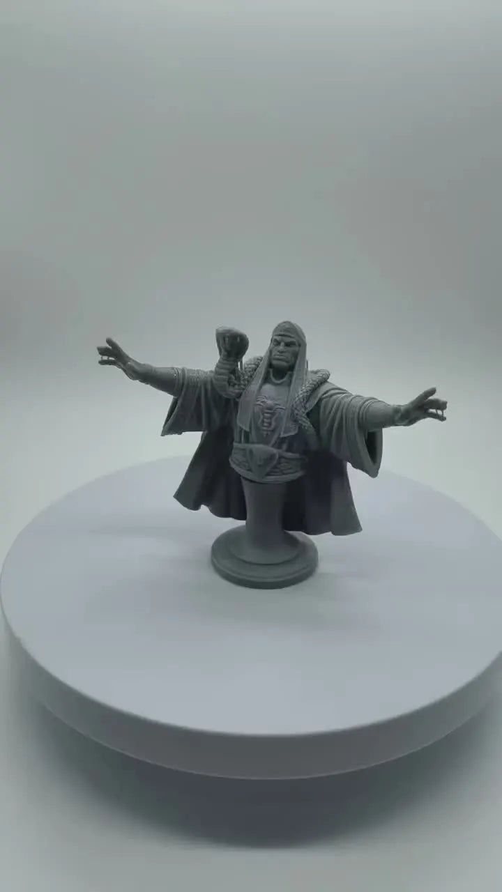 75mm Ancient Celtic Chieftain, Resin Model Figure Kit, Unassembled and Unpainted