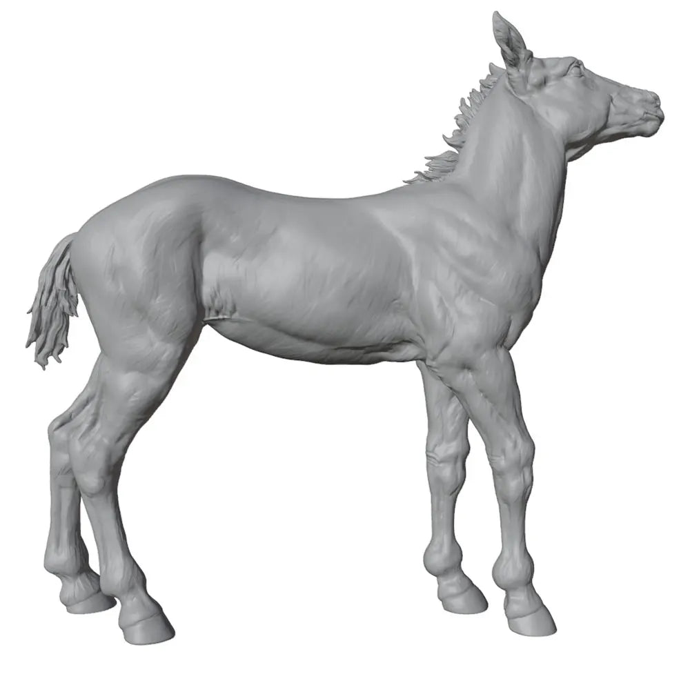 50mm Horse, Resin Model Creature Kit, Wildlife Theme, Unassembled and Unpainted