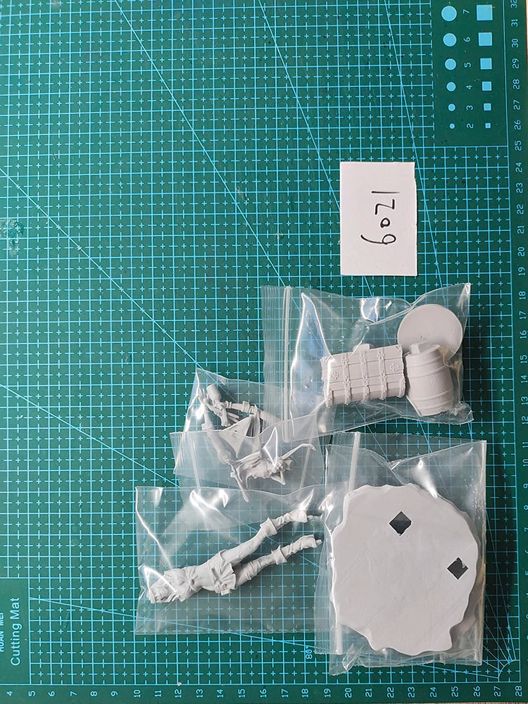 1/24 Female Barbarian Warrior, Resin Model Figure Kit, Fantasy Theme, Unassembled and Unpainted