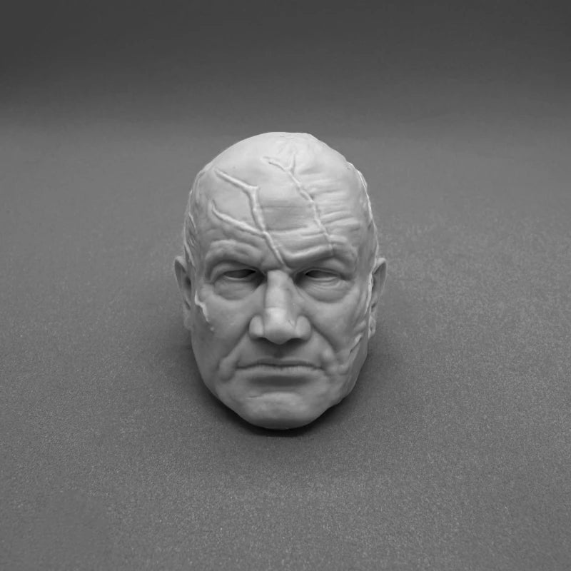1/6 Interchangeable Sci-Fi Heads, Resin Model Bust Kit, Sci-Fi Theme, Unassembled and Unpainted
