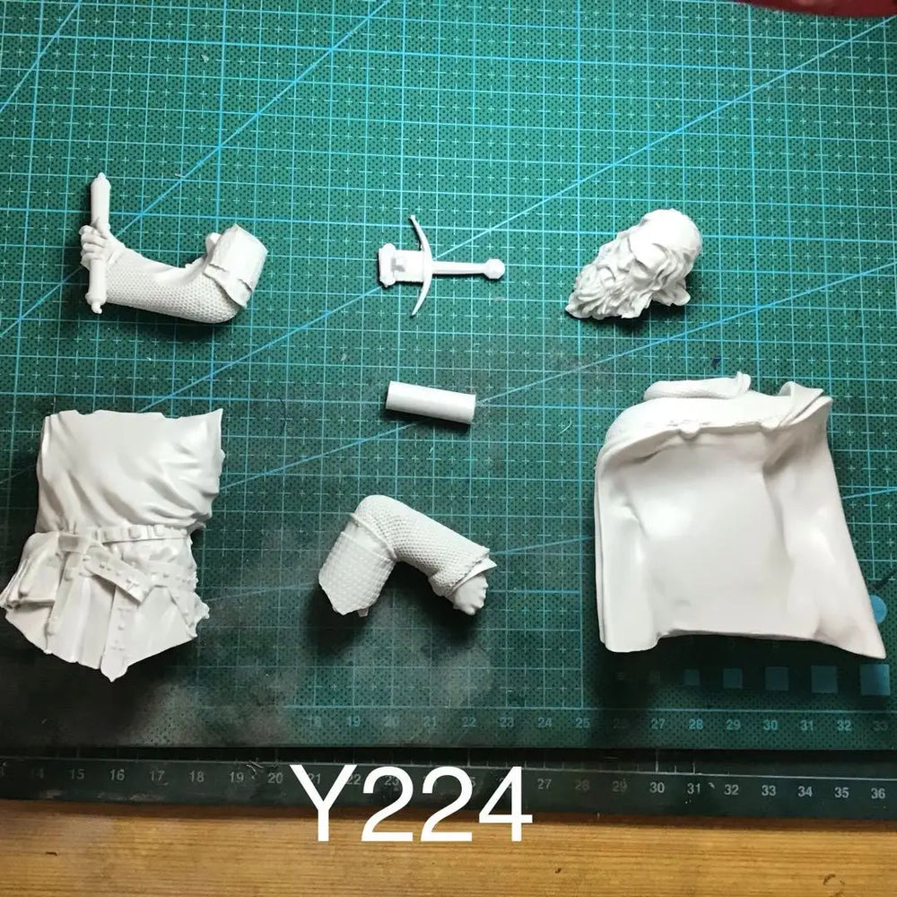 1/9 Medieval Knight, Resin Model Bust Kit, Unassembled and Unpainted