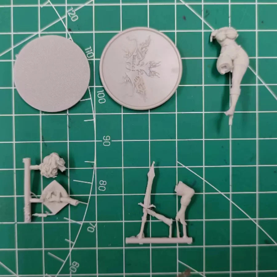 30mm Elf Female Warrior, Resin Model Figure Kit, Fantasy Theme, Unassembled and Unpainted