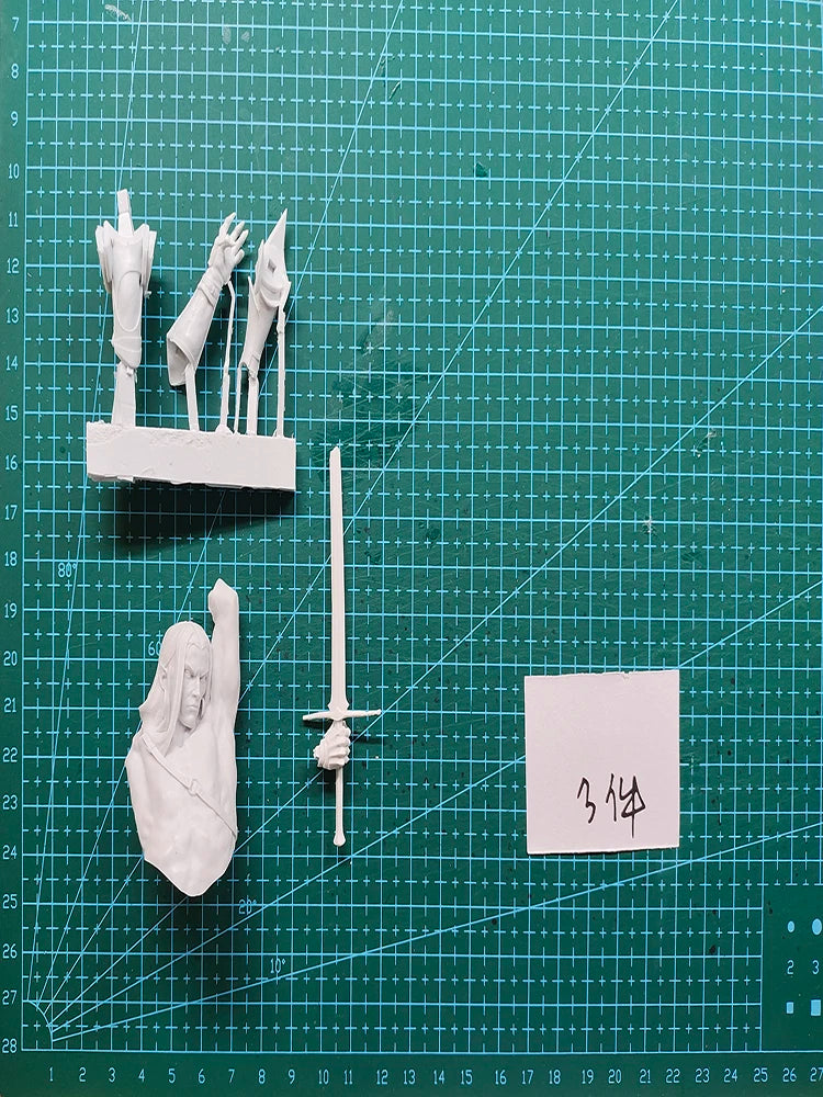 1/12 Medieval Fantasy Medieval Knight Warrior, Resin Model Bust Kit, Unassembled and Unpainted