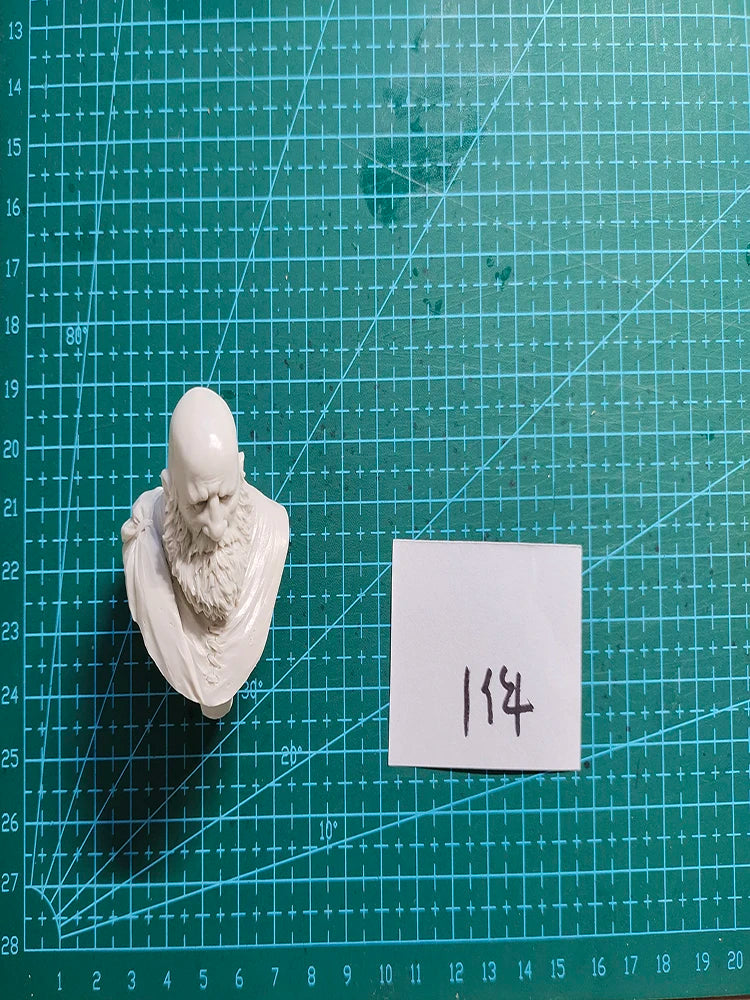 1/12 Medieval Scottish Highland Warrior with Tartan, Resin Model Bust Kit, Unassembled and Unpainted