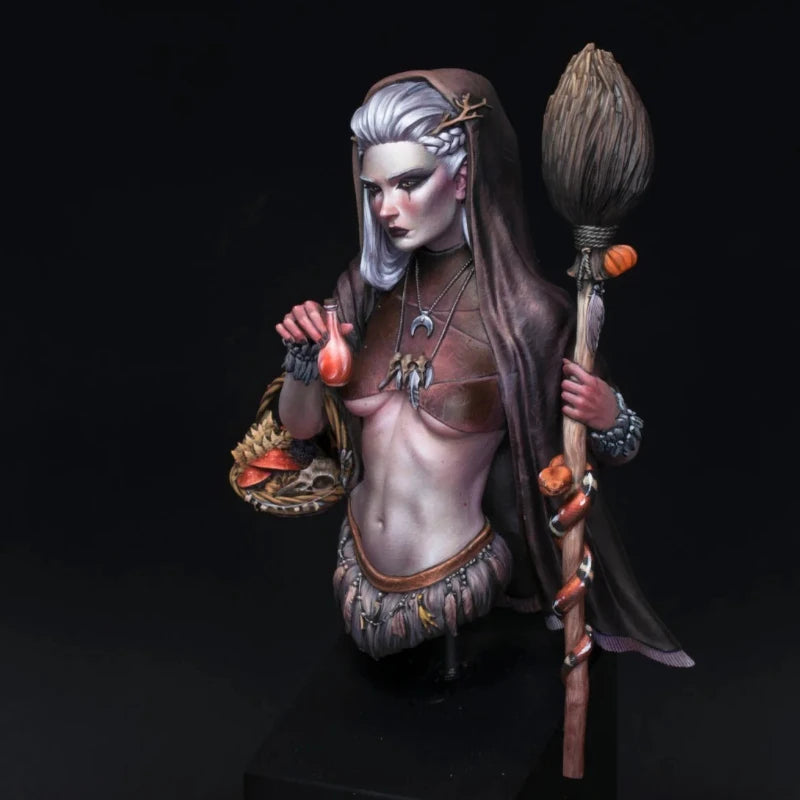 1/10 Medieval Sorceress Wiedzma, Resin Model Bust Kit, Unassembled and Unpainted