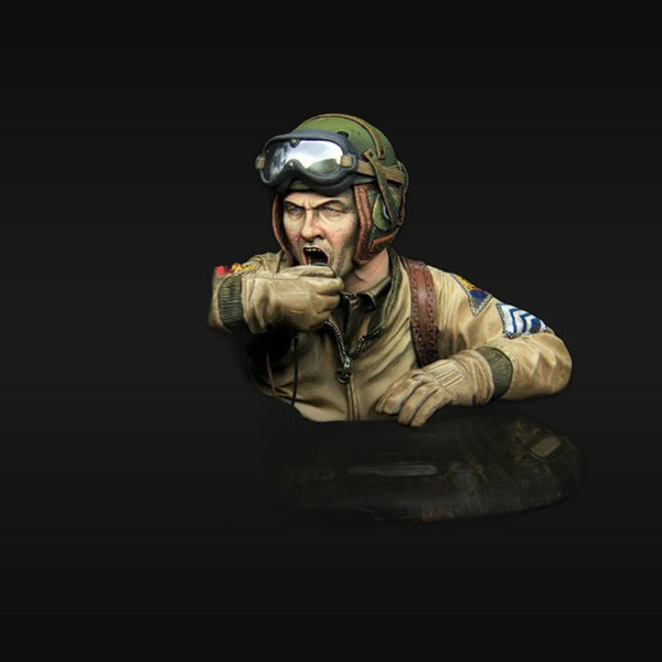 WWII US Army Air Forces Pilot Bust 1/9 Resin Kit
