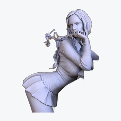 Anime resin model kits