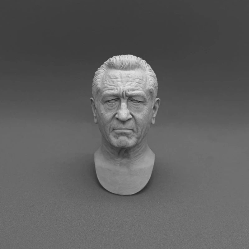 Bearded Male Head Bust with Textured Beard 1/6 Resin Portrait Kit - resin model view 3
