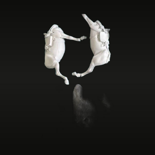Pack Mules with Equipment Set 2 Figures 90mm Resin Kit