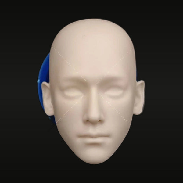 Generic Male Head Bust 1/6 Resin Kit