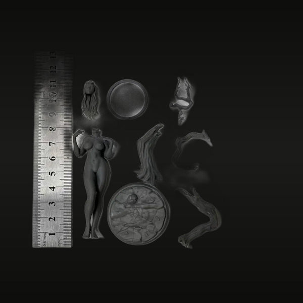 Fantasy Female Figure with Base and Accessories 1/24 Resin Model Kit