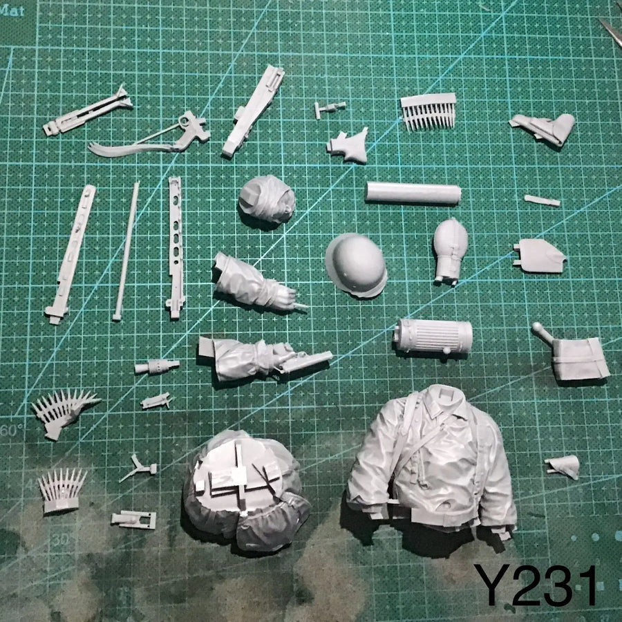 1/10 Resin Model Bust GK， Unassembled and Unpainted Kit