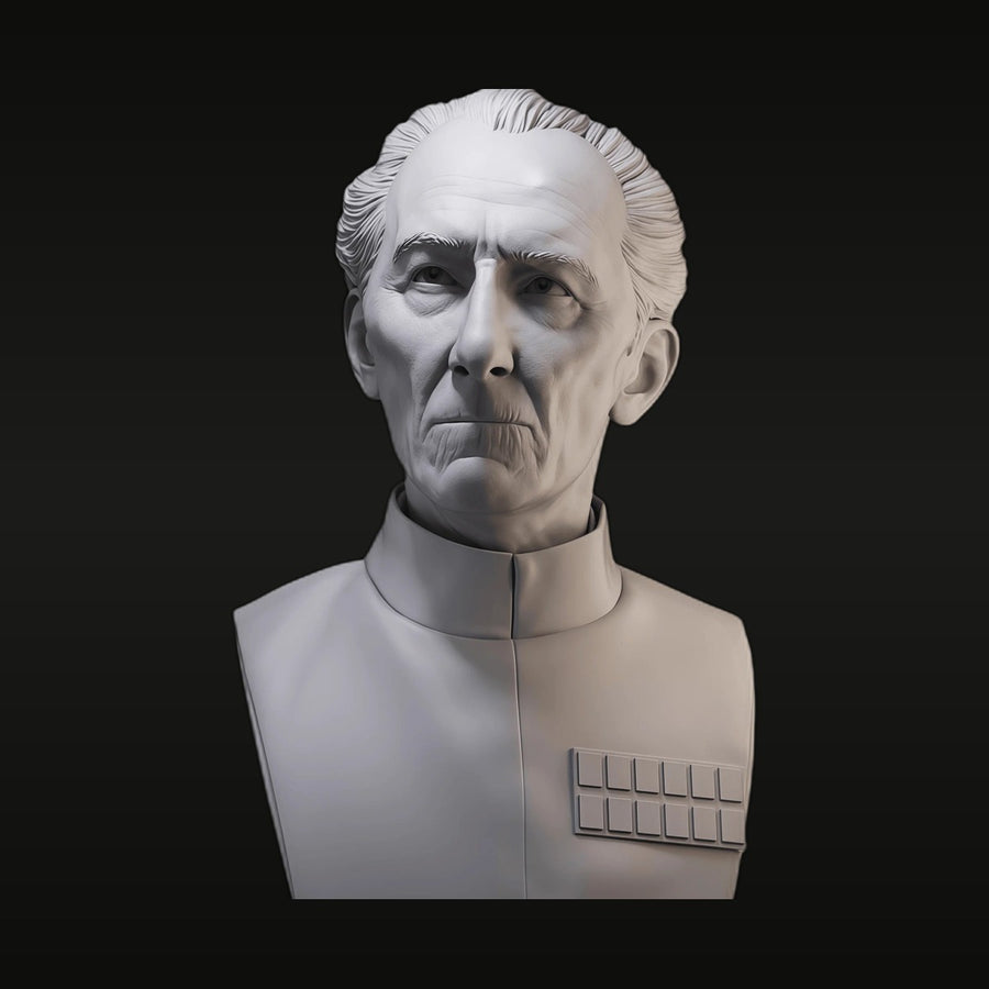 Sci-Fi Imperial Officer Senior Commander 45mm Resin Bust - unpainted resin model kit