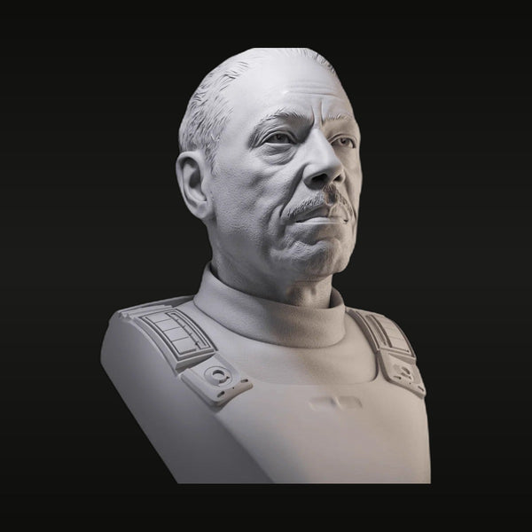Sci-Fi Imperial Officer Bust with Rank Insignia 45mm Resin Portrait Kit