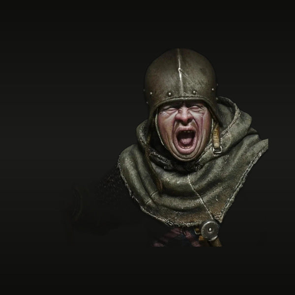 Medieval Viking Warrior Bust with Helmet 1/10 Resin Kit