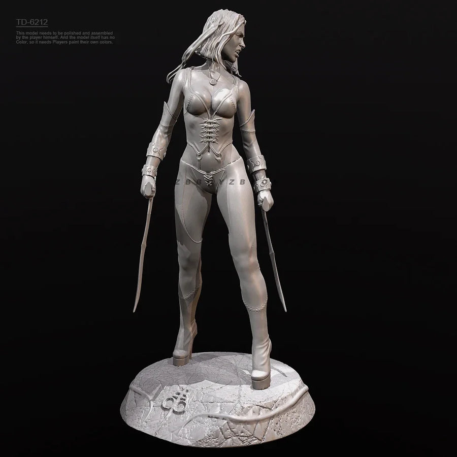 Fantasy Female Warrior TD-6212 with Dual Bladed Weapons Resin Figure Kit - resin model view 3