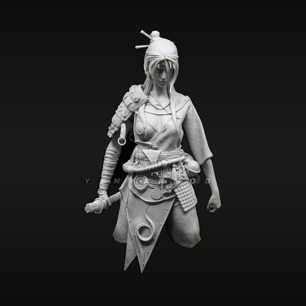 Fantasy Female Warrior with Hair Sticks 1/10 Scale Resin Bust Kit