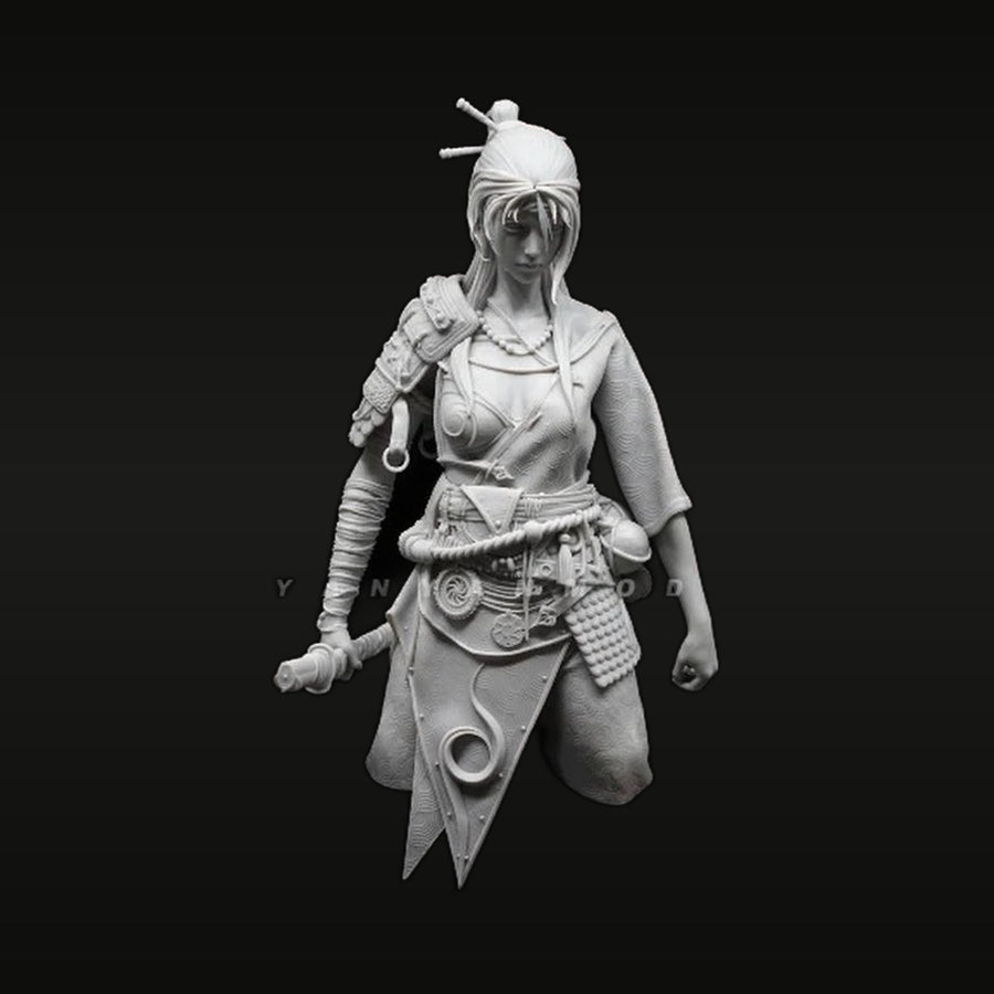 Fantasy Female Warrior with Hair Sticks 1/10 Scale Resin Bust Kit - unpainted resin model kit