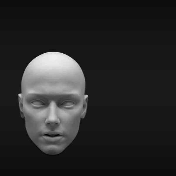 Male Head Bust Sculpture 1/6 Scale Resin Portrait Kit